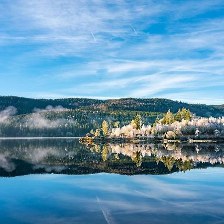 Ferienwohnung 1315 Schluchsee Kültér fotó
