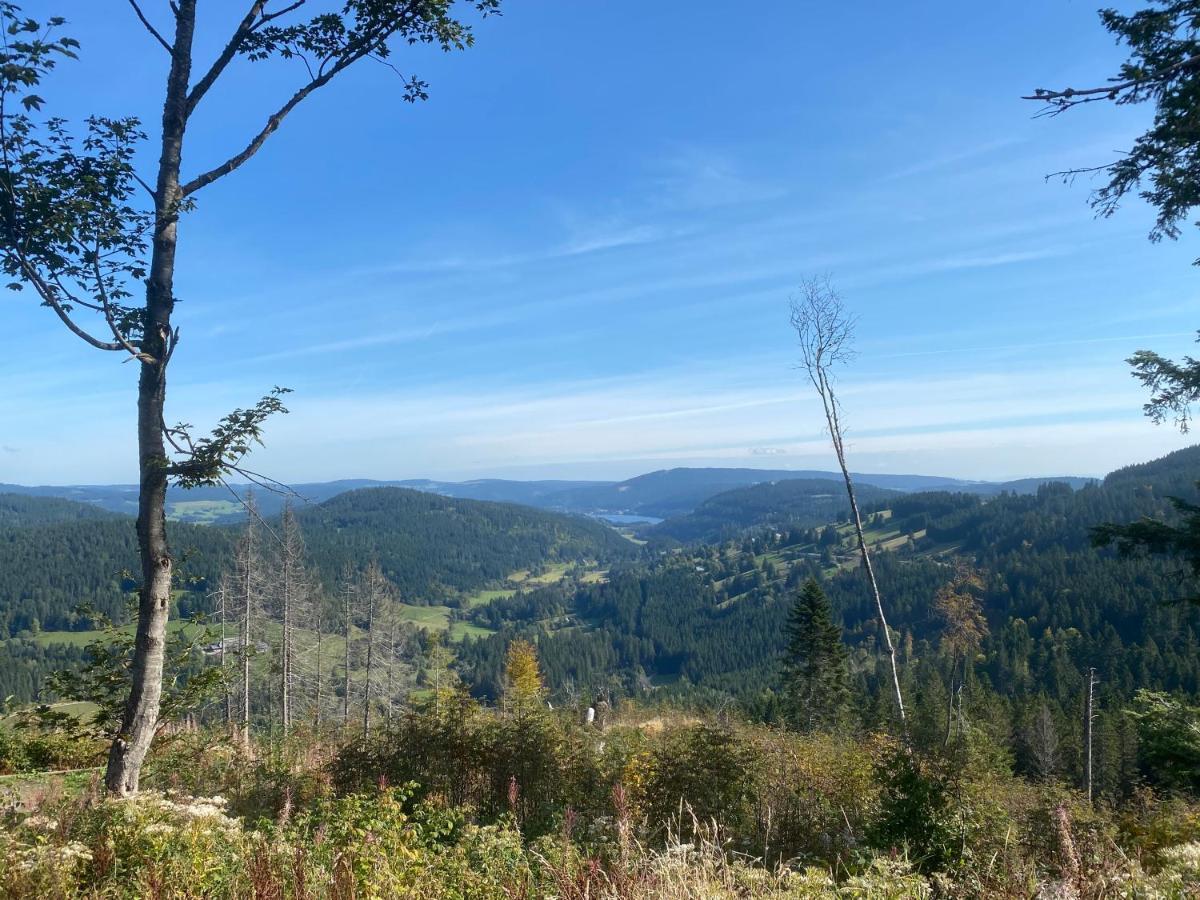Ferienwohnung 1315 Schluchsee Kültér fotó